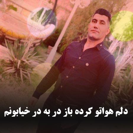 دانلود آهنگ دلم هواتو کرده باز در به در خیابونم